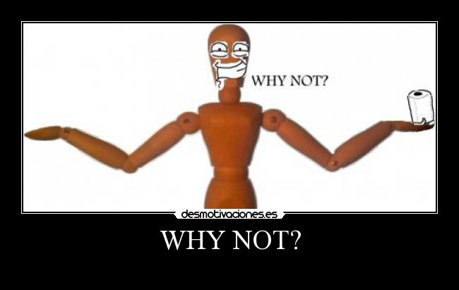 WHY NOT? -
