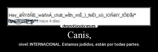 Canis, - nivel: INTERNACIONAL. Estamos jodidos, están por todas partes.