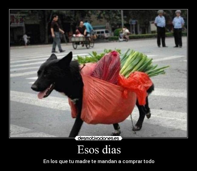 Esos dias - En los que tu madre te mandan a comprar todo