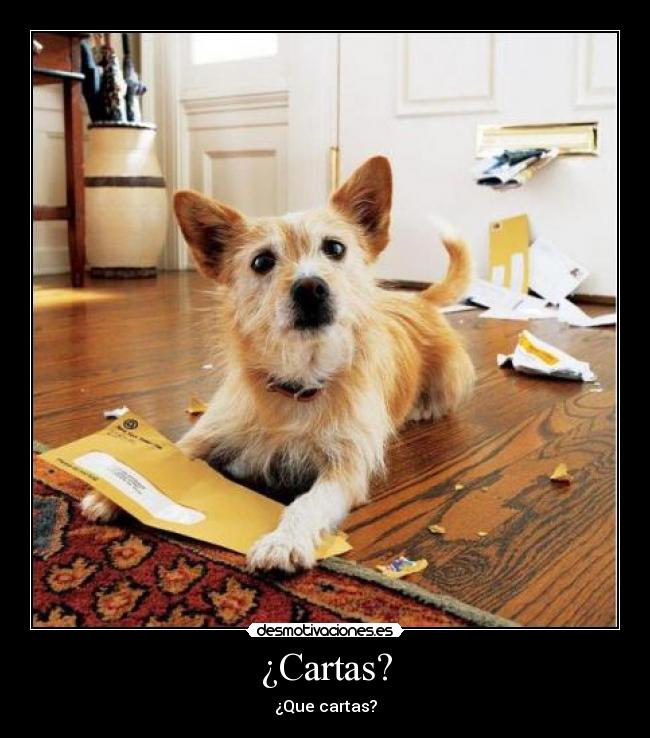 ¿Cartas? - ¿Que cartas?