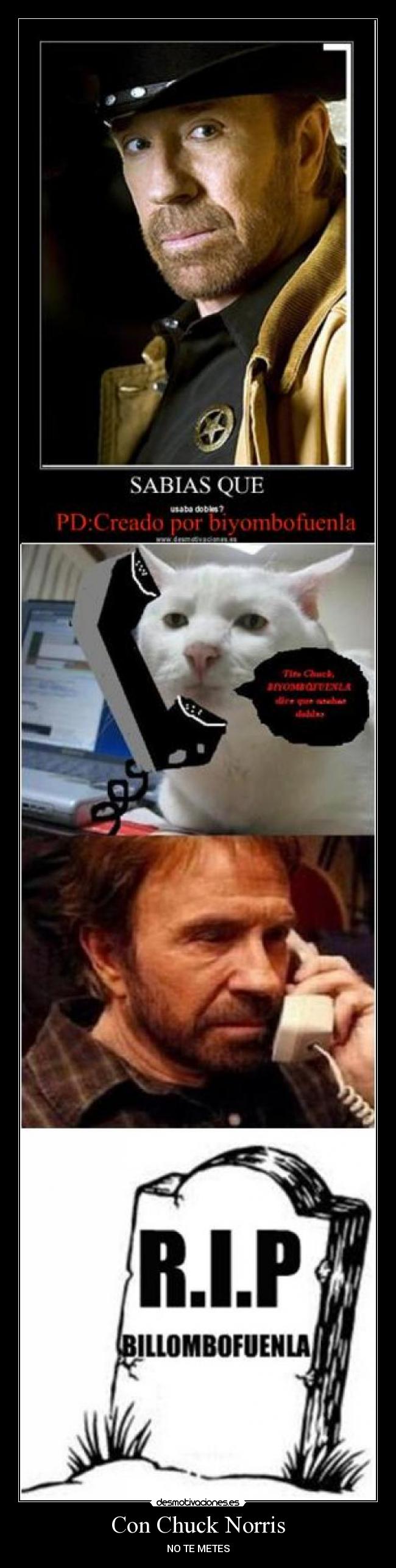 Con Chuck Norris - 