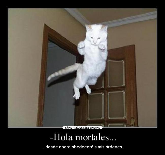 -Hola mortales... - ... desde ahora obedeceréis mis órdenes..