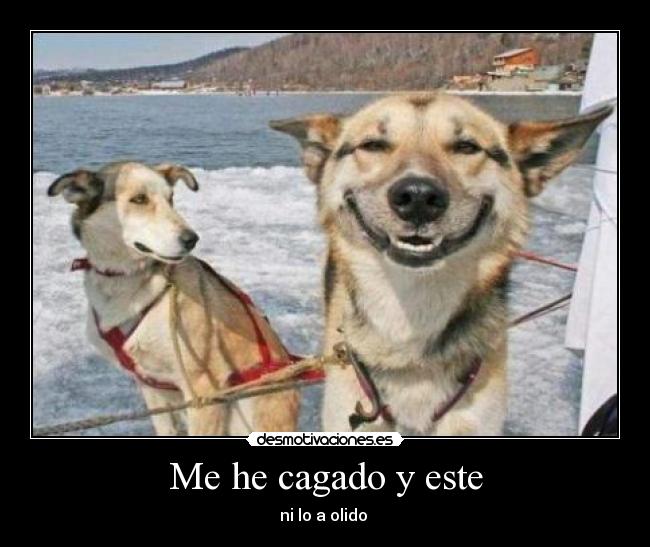 Me he cagado y este - 