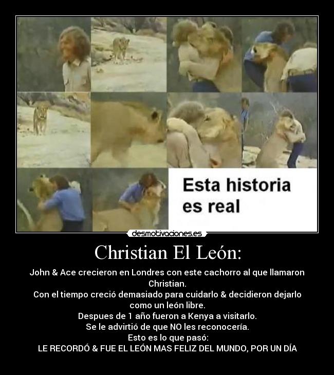 Christian El León: - 
