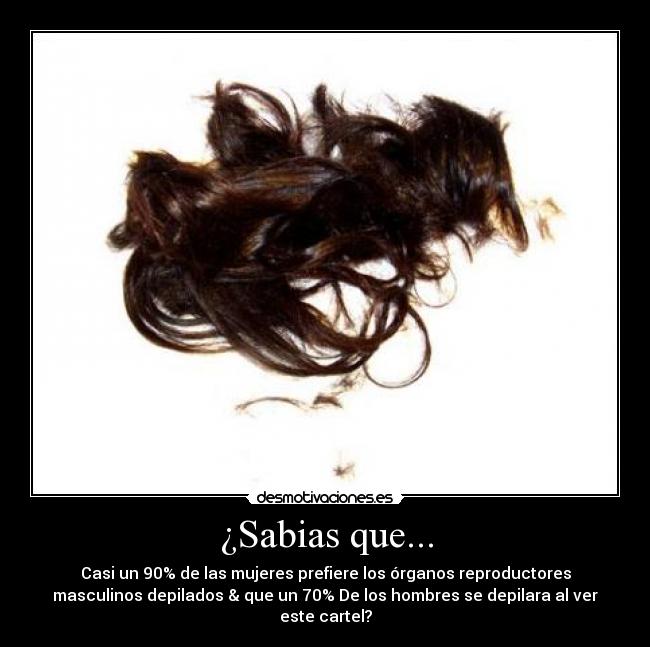 ¿Sabias que... - 