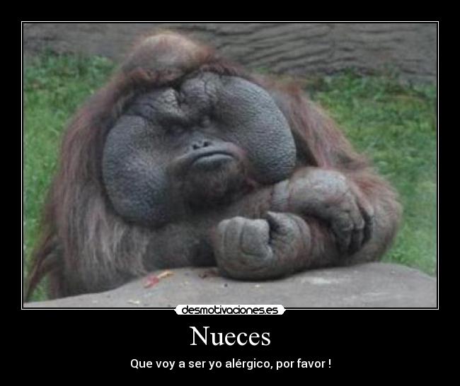 Nueces - Que voy a ser yo alérgico, por favor !
