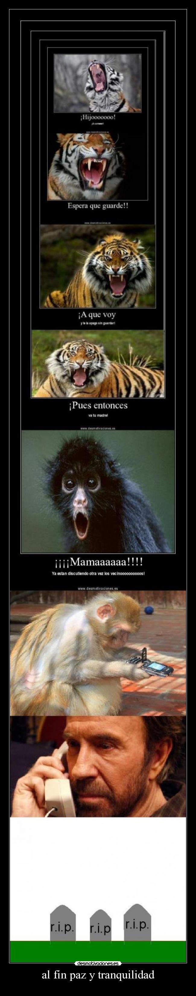 al fin paz y tranquilidad -