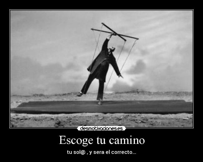 Escoge tu camino -