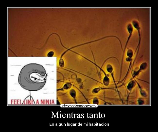 carteles semen feel like nija desmotivaciones