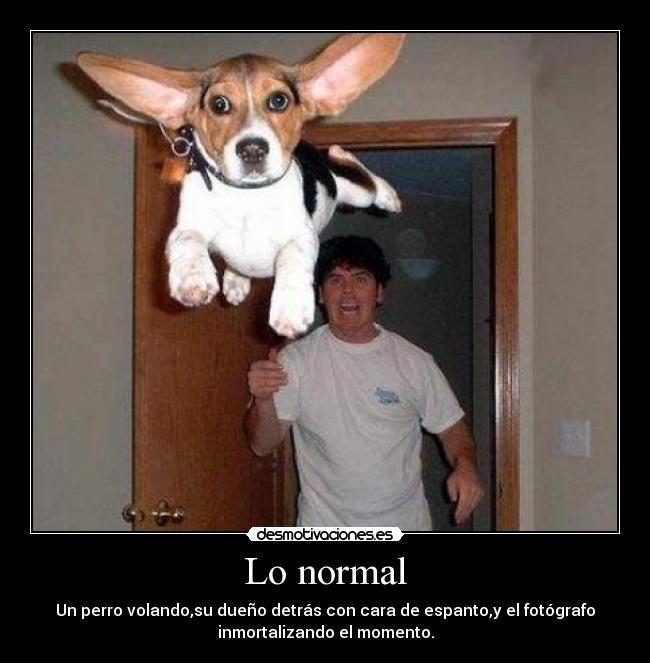Lo normal - 