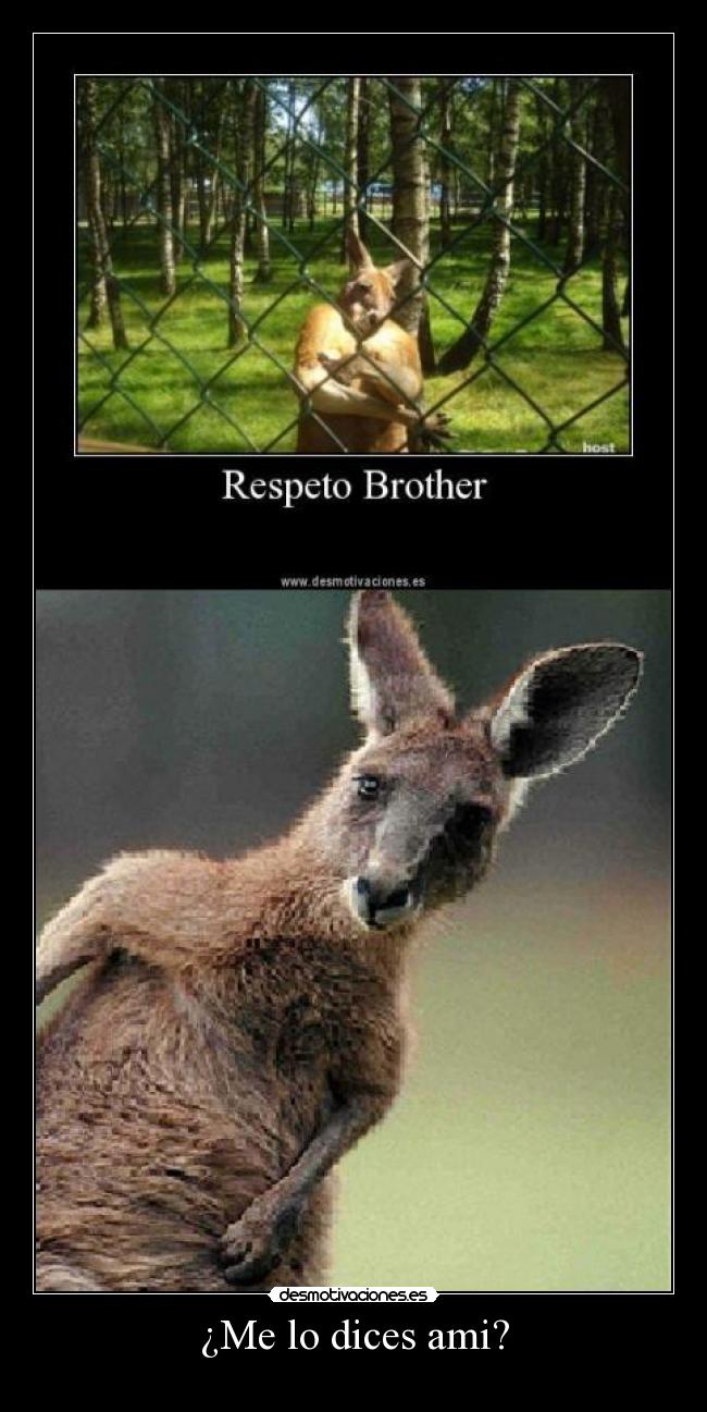 ¿Me lo dices ami? - 