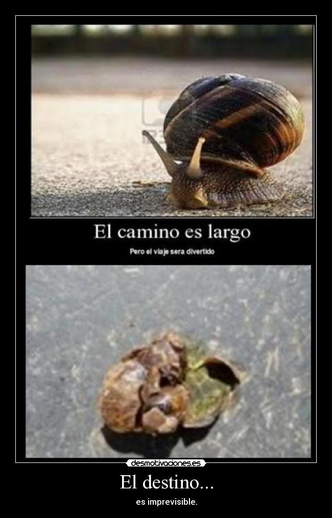 El destino... -