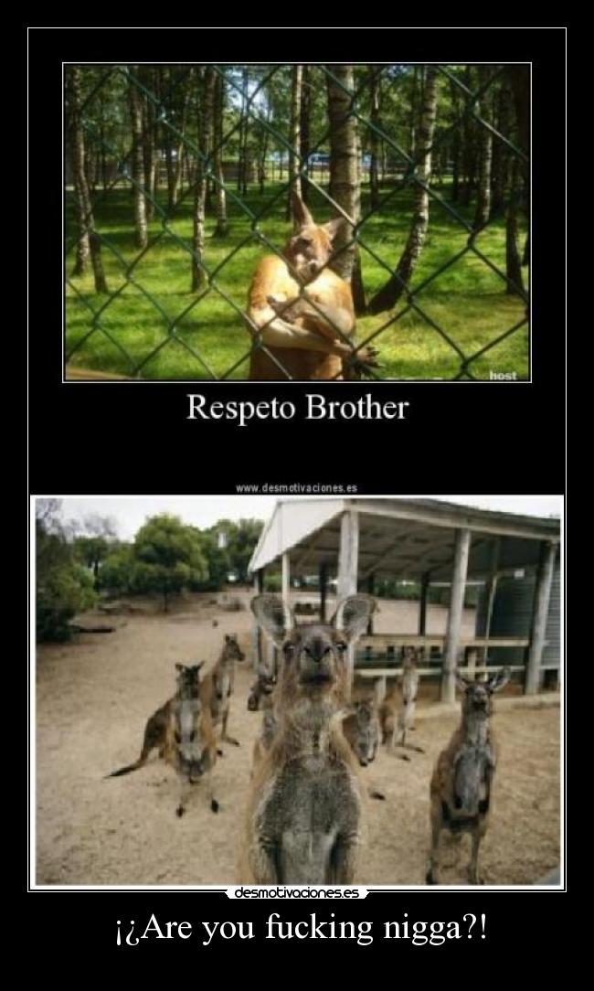 ¡¿Are you fucking nigga?! -