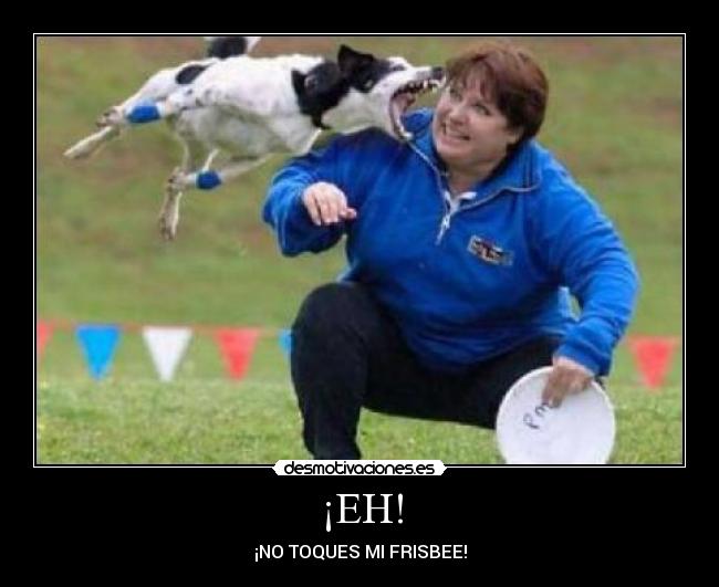 ¡EH! - ¡NO TOQUES MI FRISBEE!