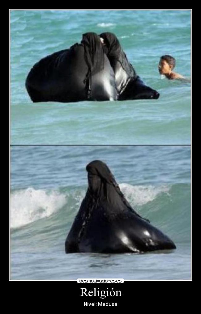 Religión - 