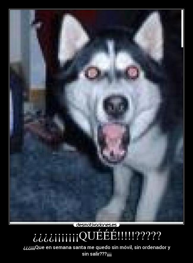 ¿¿¿¿¡¡¡¡¡¡¡QUÉÉÉ!!!!!????? - ¿¿¿¡¡¡¡Que en semana santa me quedo sin móvil, sin ordenador y sin salir???¡¡¡¡