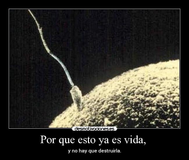 Por que esto ya es vida,  - 