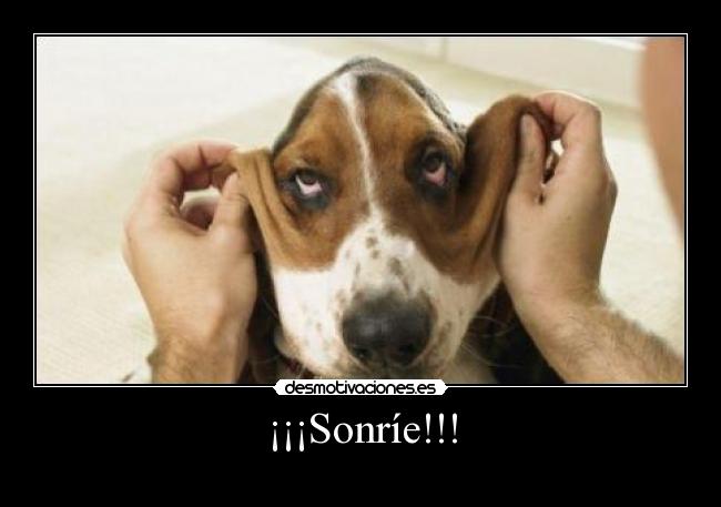 ¡¡¡Sonríe!!! -