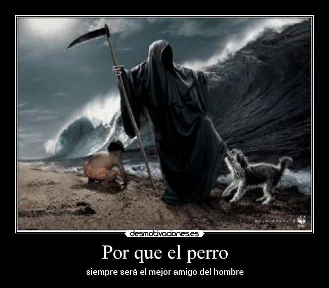 Por que el perro -
