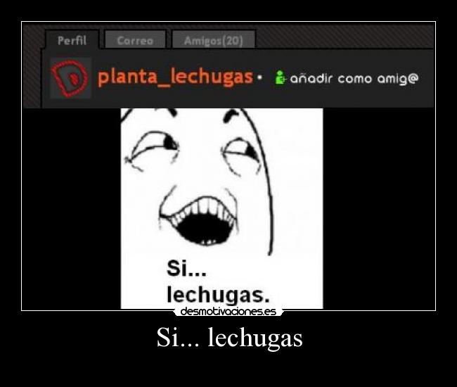 Si... lechugas - 