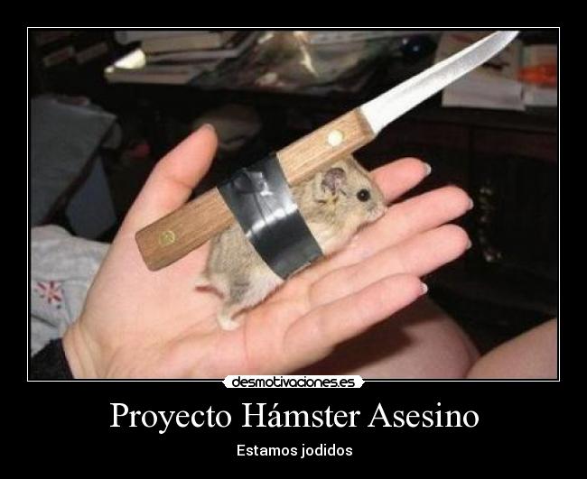 Proyecto Hámster Asesino - Estamos jodidos