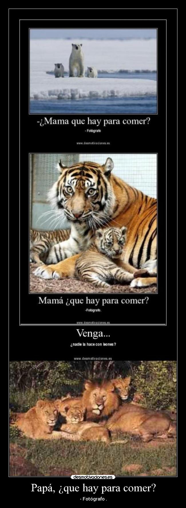 Papá, ¿que hay para comer? - 