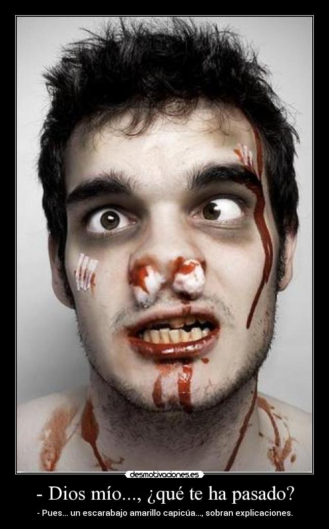 - Dios mío..., ¿qué te ha pasado? - - Pues... un escarabajo amarillo capicúa..., sobran explicaciones.