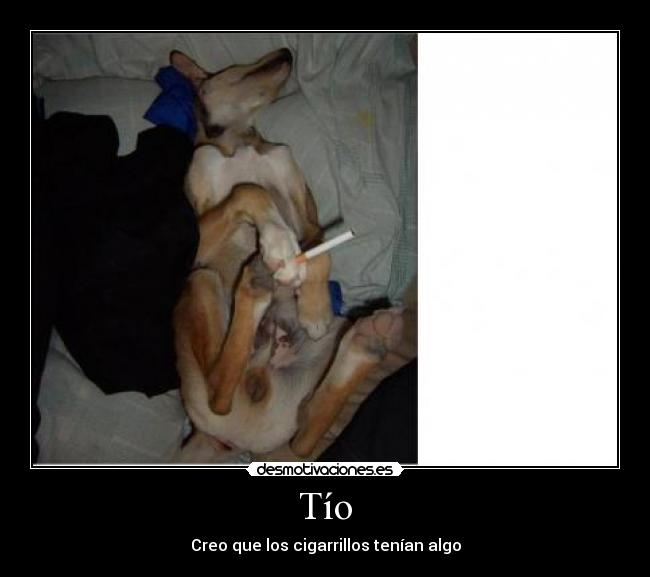 Tío - 