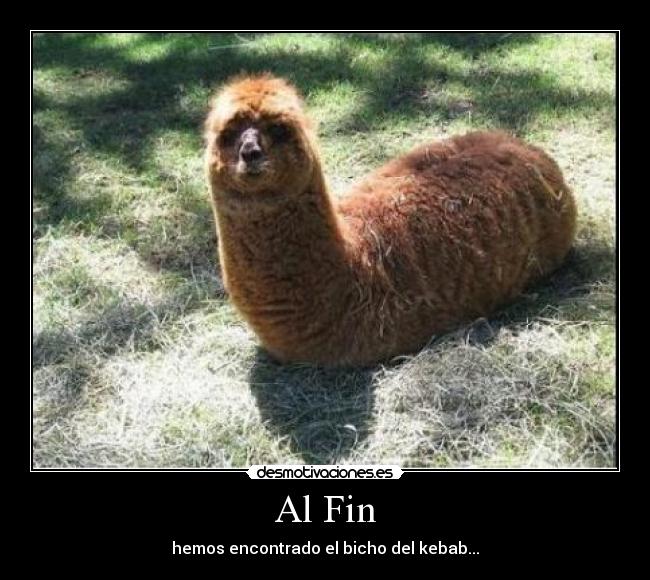 Al Fin -