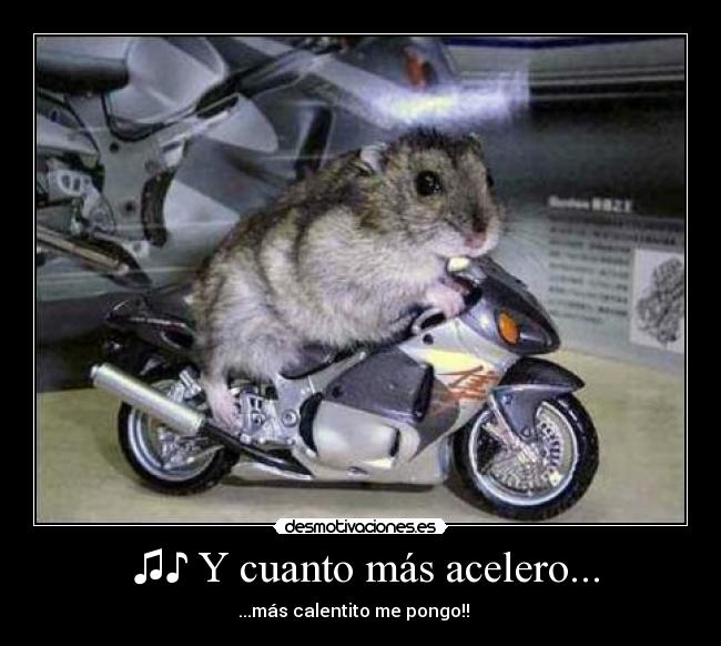 ♫♪ Y cuanto más acelero... -