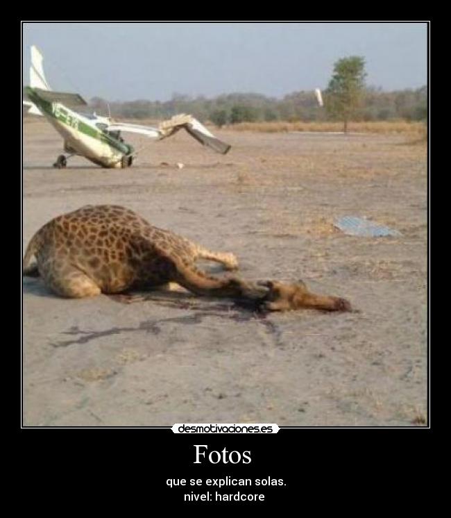 carteles fotos desmotivaciones