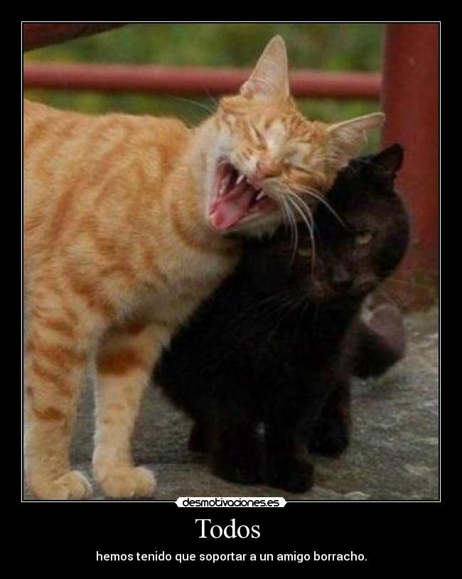 Todos - hemos tenido que soportar a un amigo borracho.