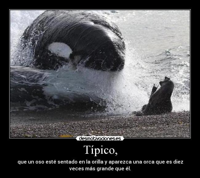 Típico, -
