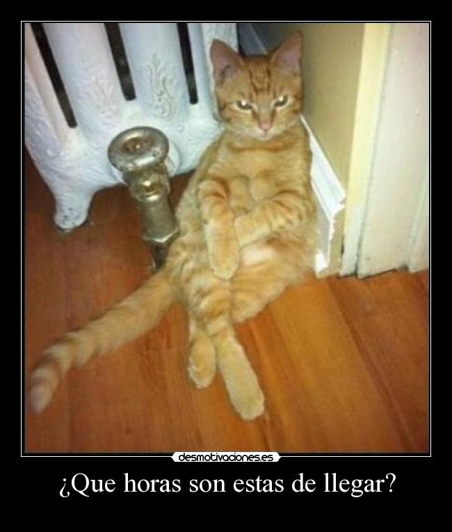 ¿Que horas son estas de llegar? - 