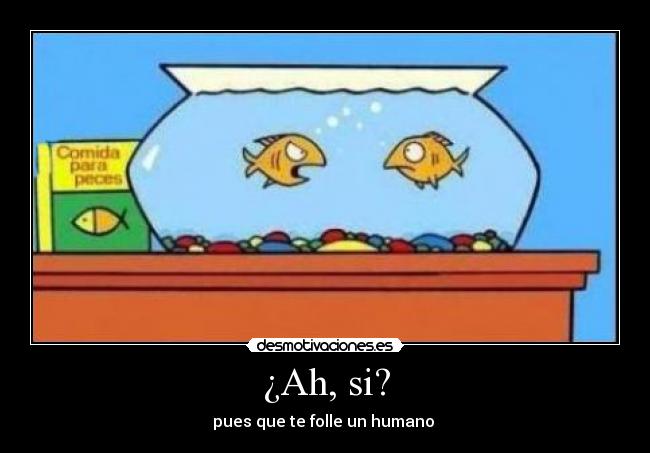 ¿Ah, si? - pues que te folle un humano 