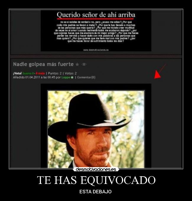 TE HAS EQUIVOCADO - ESTA DEBAJO 