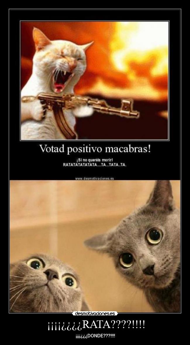 ¡¡¡¡¿¿¿¿RATA????!!!! - 