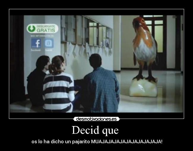 Decid que -