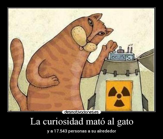 La curiosidad mató al gato -