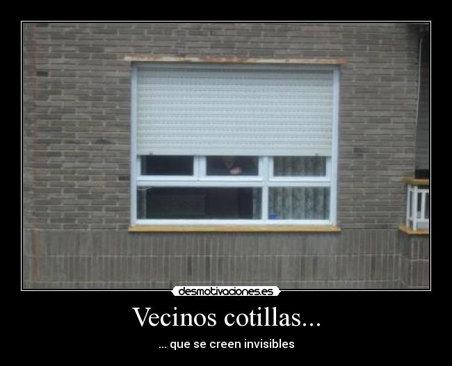 Vecinos cotillas... -