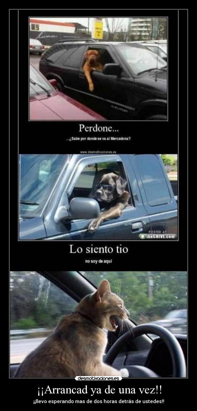 ¡¡Arrancad ya de una vez!! - ¡¡llevo esperando mas de dos horas detrás de ustedes!!