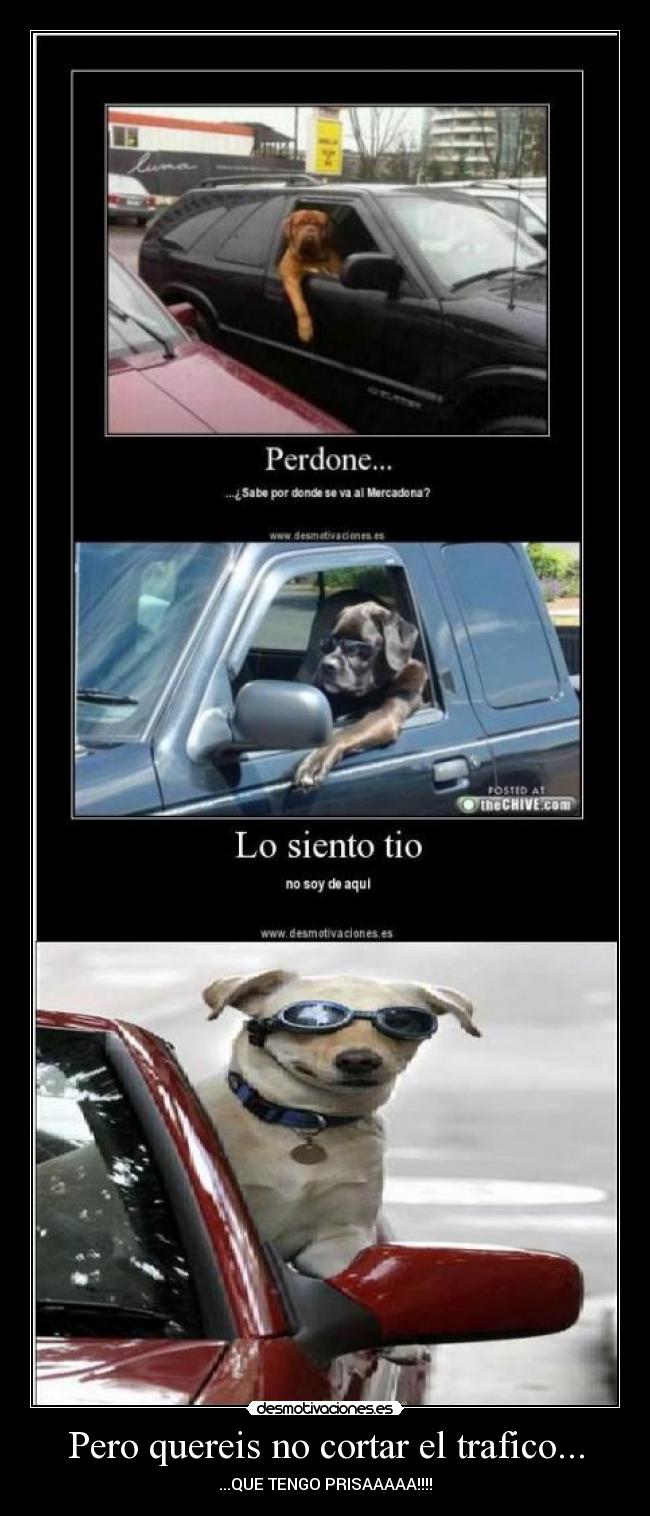 Pero quereis no cortar el trafico... - 