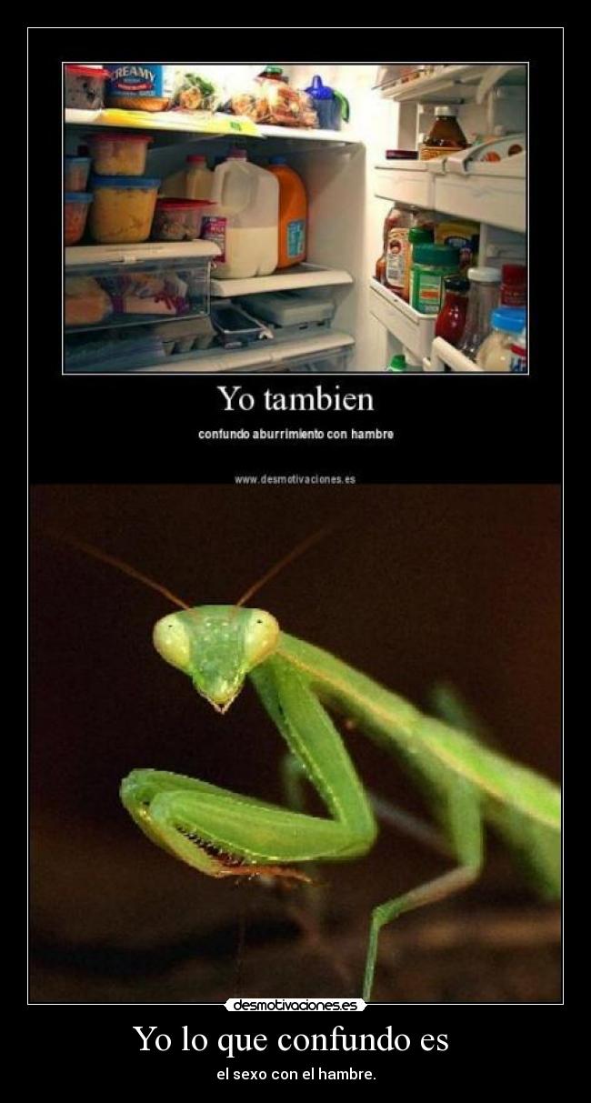 Yo lo que confundo es -