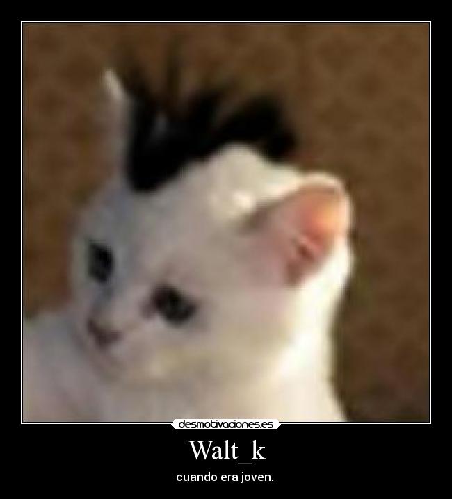 Walt_k - 