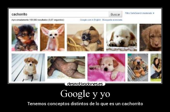carteles cachorrito google imaagenes peludo desmotivaciones
