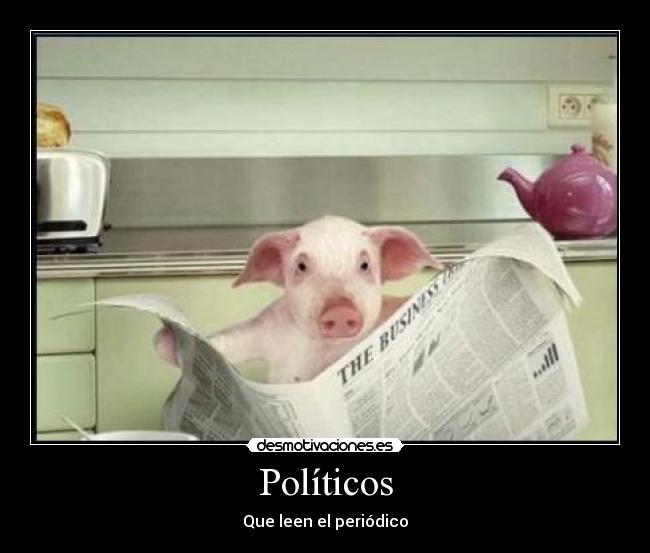 Políticos -