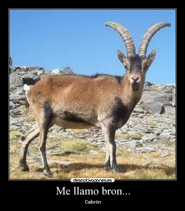 Me llamo bron... -