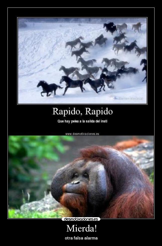 Mierda! - otra falsa alarma