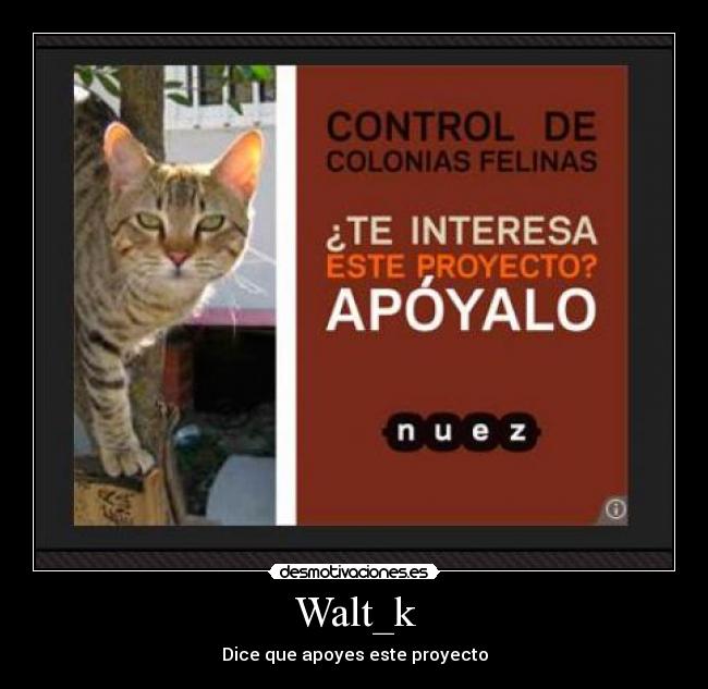 Walt_k - 