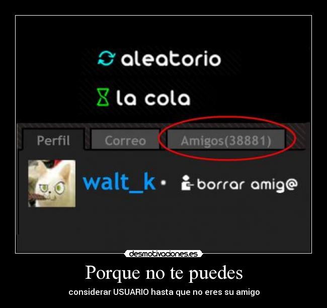 Porque no te puedes -